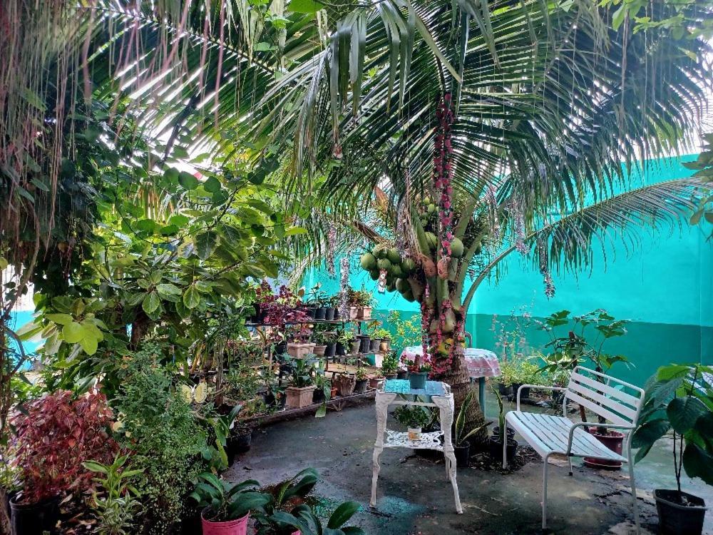 Pete'S Inn Роксас Екстер'єр фото
